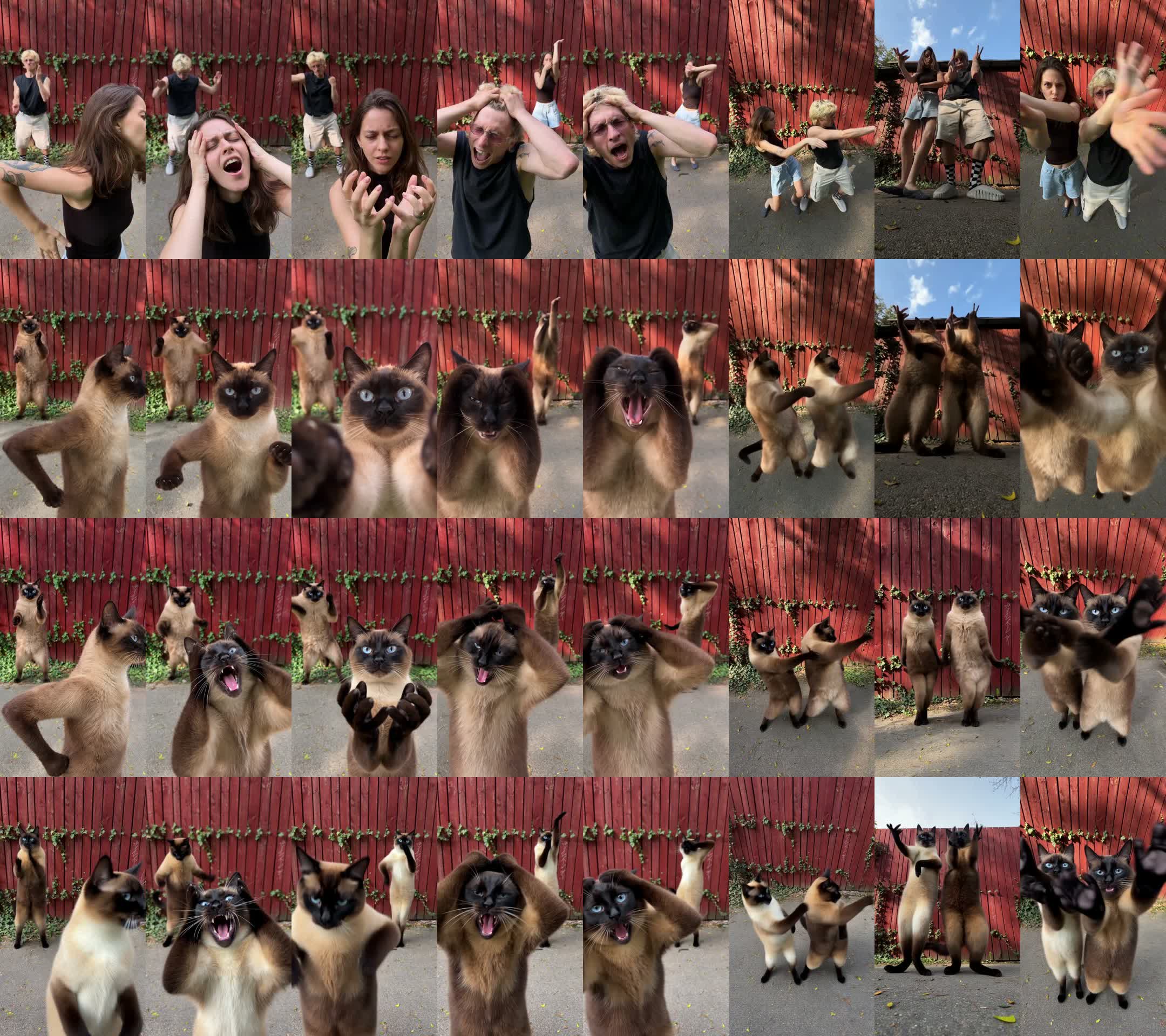 Four rows of eight frames: the original clip, Seedance 2.5 with the swapped first frame, Kling 4.0 with the swapped first frame, Kling 4.0 with the edit-mode prompt