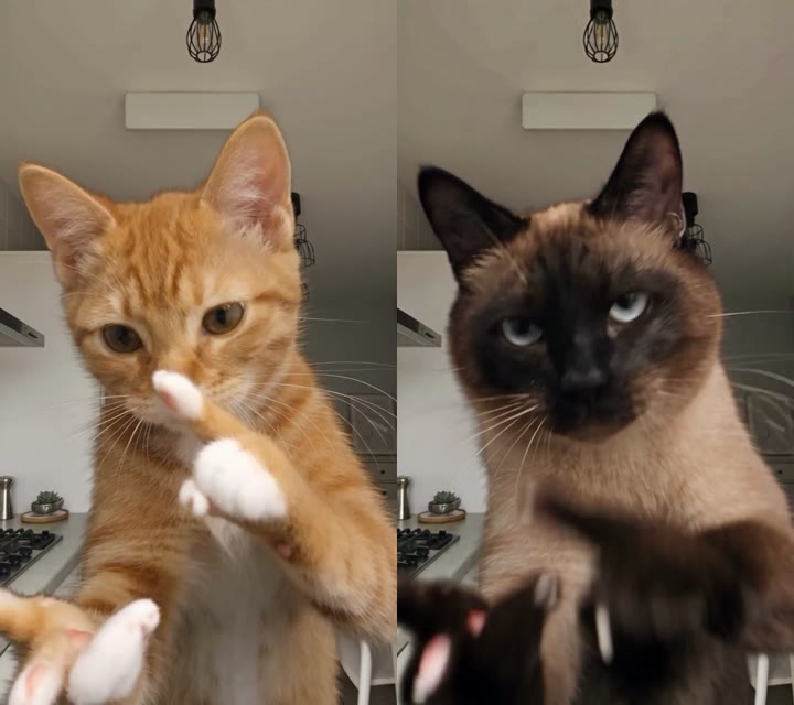 AI Character Swap in Video: We Tested 5 Models — Here's What Actually Works
