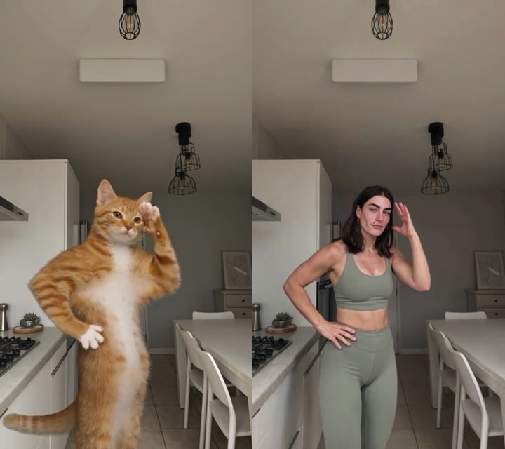 Orange cat in the source clip, a woman in the same pose in the output